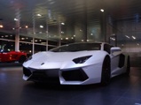 Nachtelijk bezoek aan Lamborghini dealer in St. Galien